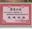 2010年先进企业